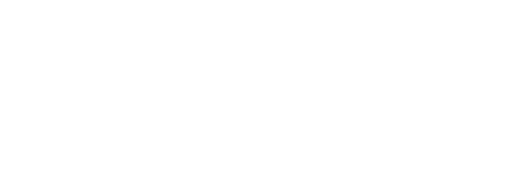 Fledermaus