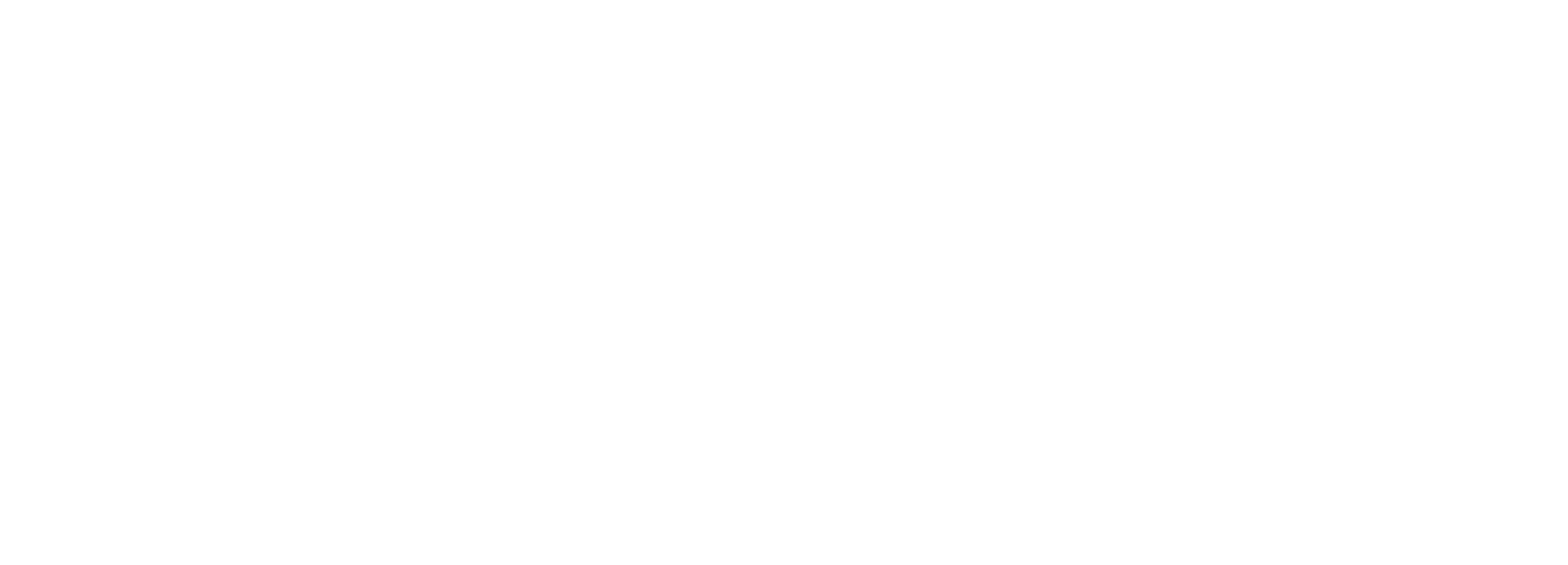 Fledermaus